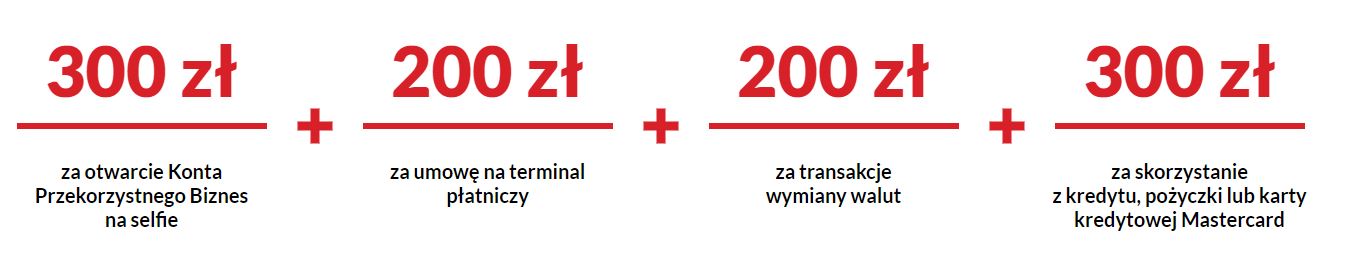 Pekao Biznes za co premia